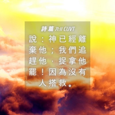 Picture 04 - 詩 篇 71:11 CUVT - 說 ： 神 已 經 離 棄 他 ； 我 們 追 - Bible Verse Picture