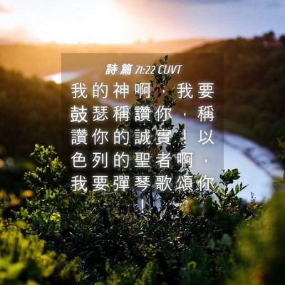 Picture 04 - 詩 篇 71:22 CUVT - 我 的 神 啊 ， 我 要 鼓 瑟 稱 讚 你 - Bible Verse Picture
