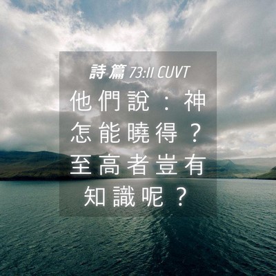 Picture 04 - 詩 篇 73:11 CUVT - 他 們 說 ： 神 怎 能 曉 得 ？ 至 高 - Bible Verse Picture