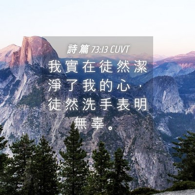 Picture 04 - 詩 篇 73:13 CUVT - 我 實 在 徒 然 潔 淨 了 我 的 心 ， - Bible Verse Picture