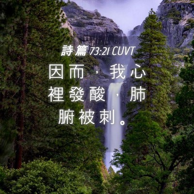 Picture 04 - 詩 篇 73:21 CUVT - 因 而 ， 我 心 裡 發 酸 ， 肺 腑 被 - Bible Verse Picture