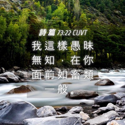 Picture 04 - 詩 篇 73:22 CUVT - 我 這 樣 愚 昧 無 知 ， 在 你 面 前 - Bible Verse Picture
