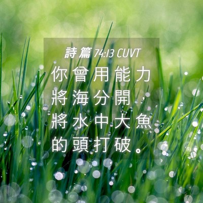 Picture 04 - 詩 篇 74:13 CUVT - 你 曾 用 能 力 將 海 分 開 ， 將 水 - Bible Verse Picture