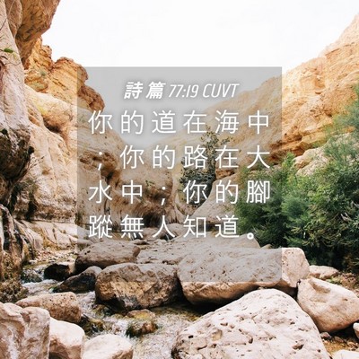 Picture 04 - 詩 篇 77:19 CUVT - 你 的 道 在 海 中 ； 你 的 路 在 大 - Bible Verse Picture