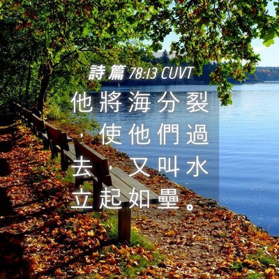 Picture 04 - 詩 篇 78:13 CUVT - 他 將 海 分 裂 ， 使 他 們 過 去 ， - Bible Verse Picture