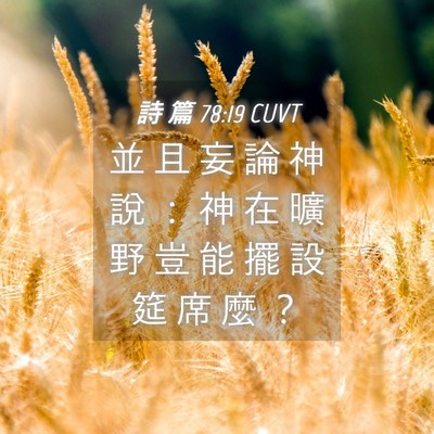 Picture 04 - 詩 篇 78:19 CUVT - 並 且 妄 論 神 說 ： 神 在 曠 野 豈 - Bible Verse Picture