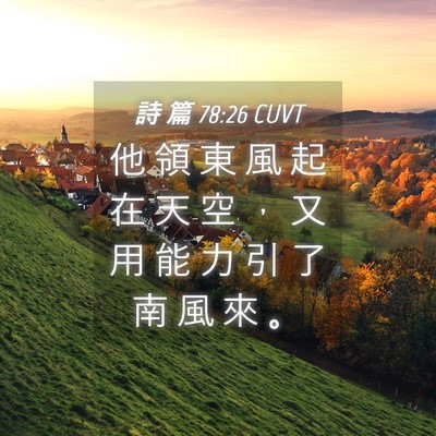 Picture 04 - 詩 篇 78:26 CUVT - 他 領 東 風 起 在 天 空 ， 又 用 能 - Bible Verse Picture