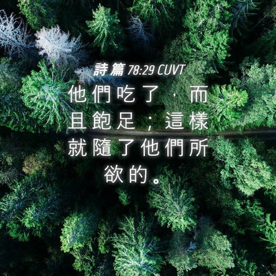 Picture 04 - 詩 篇 78:29 CUVT - 他 們 吃 了 ， 而 且 飽 足 ； 這 樣 - Bible Verse Picture