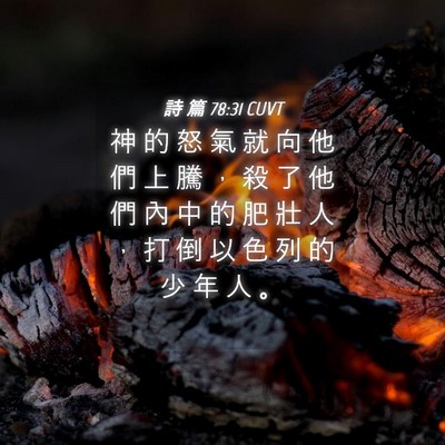 Picture 04 - 詩 篇 78:31 CUVT - 神 的 怒 氣 就 向 他 們 上 騰 ， 殺 - Bible Verse Picture