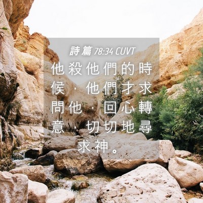 Picture 04 - 詩 篇 78:34 CUVT - 他 殺 他 們 的 時 候 ， 他 們 才 求 - Bible Verse Picture