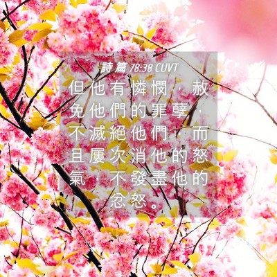 Picture 04 - 詩 篇 78:38 CUVT - 但 他 有 憐 憫 ， 赦 免 他 們 的 罪 - Bible Verse Picture