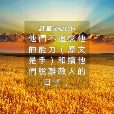 Picture 04 - 詩 篇 78:42 CUVT - 他 們 不 追 念 他 的 能 力 （ 原 文 - Bible Verse Picture