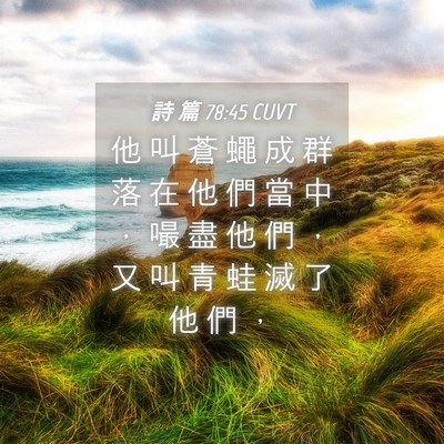 Picture 04 - 詩 篇 78:45 CUVT - 他 叫 蒼 蠅 成 群 落 在 他 們 當 中 - Bible Verse Picture