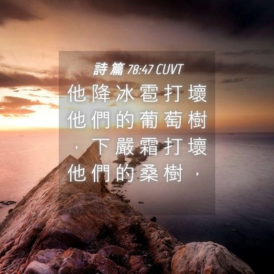 Picture 04 - 詩 篇 78:47 CUVT - 他 降 冰 雹 打 壞 他 們 的 葡 萄 樹 - Bible Verse Picture