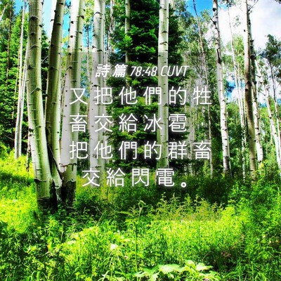 Picture 04 - 詩 篇 78:48 CUVT - 又 把 他 們 的 牲 畜 交 給 冰 雹 ， - Bible Verse Picture