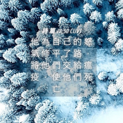 Picture 04 - 詩 篇 78:50 CUVT - 他 為 自 己 的 怒 氣 修 平 了 路 ， - Bible Verse Picture