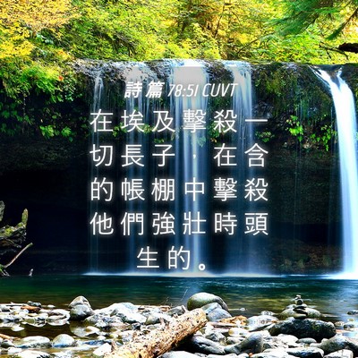 Picture 04 - 詩 篇 78:51 CUVT - 在 埃 及 擊 殺 一 切 長 子 ， 在 含 - Bible Verse Picture