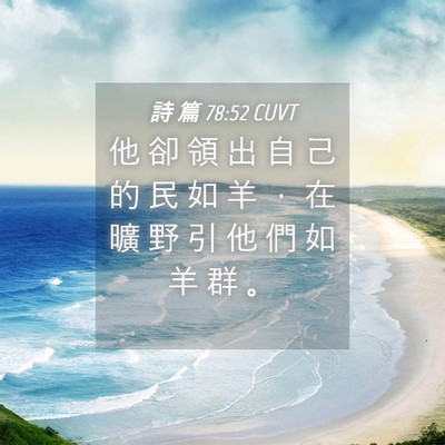 Picture 04 - 詩 篇 78:52 CUVT - 他 卻 領 出 自 己 的 民 如 羊 ， 在 - Bible Verse Picture