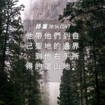 Picture 04 - 詩 篇 78:54 CUVT - 他 帶 他 們 到 自 己 聖 地 的 邊 界 - Bible Verse Picture