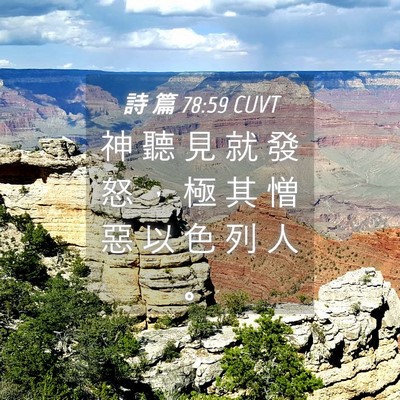 Picture 04 - 詩 篇 78:59 CUVT - 神 聽 見 就 發 怒 ， 極 其 憎 惡 以 - Bible Verse Picture