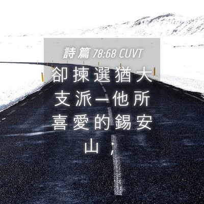 Picture 04 - 詩 篇 78:68 CUVT - 卻 揀 選 猶 大 支 派 ─ 他 所 喜 愛 - Bible Verse Picture
