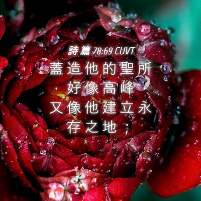 Picture 04 - 詩 篇 78:69 CUVT - 蓋 造 他 的 聖 所 ， 好 像 高 峰 ， - Bible Verse Picture