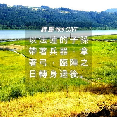 Picture 04 - 詩 篇 78:9 CUVT - 以 法 蓮 的 子 孫 帶 著 兵 器 ， 拿 - Bible Verse Picture