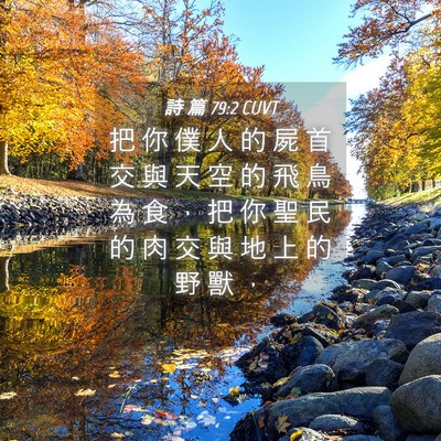 Picture 04 - 詩 篇 79:2 CUVT - 把 你 僕 人 的 屍 首 交 與 天 空 的 - Bible Verse Picture