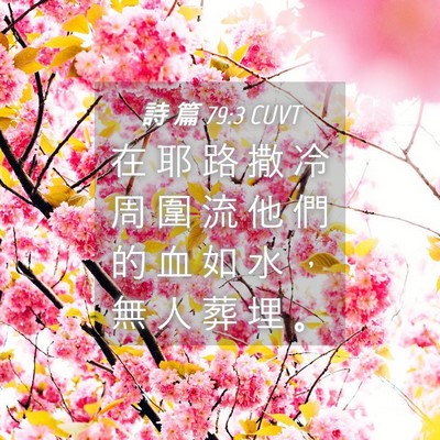 Picture 04 - 詩 篇 79:3 CUVT - 在 耶 路 撒 冷 周 圍 流 他 們 的 血 - Bible Verse Picture