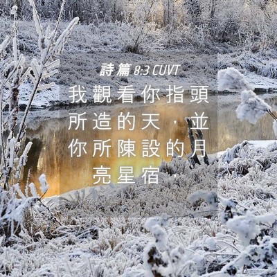 Picture 04 - 詩 篇 8:3 CUVT - 我 觀 看 你 指 頭 所 造 的 天 ， 並 - Bible Verse Picture