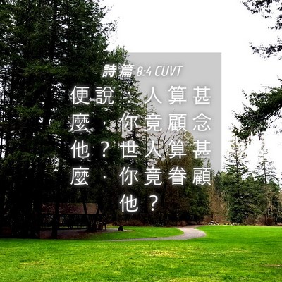Picture 04 - 詩 篇 8:4 CUVT - 便 說 ： 人 算 甚 麼 ， 你 竟 顧 念 - Bible Verse Picture