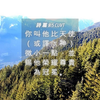 Picture 04 - 詩 篇 8:5 CUVT - 你 叫 他 比 天 使 （ 或 譯 ： 神 ） - Bible Verse Picture