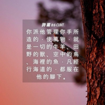 Picture 04 - 詩 篇 8:6 CUVT - 你 派 他 管 理 你 手 所 造 的 ， 使 - Bible Verse Picture