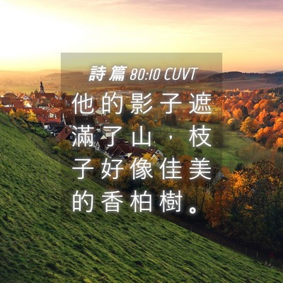 Picture 04 - 詩 篇 80:10 CUVT - 他 的 影 子 遮 滿 了 山 ， 枝 子 好 - Bible Verse Picture
