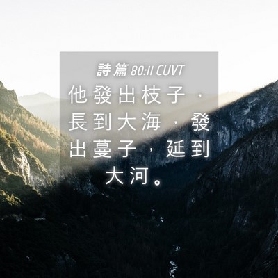 Picture 04 - 詩 篇 80:11 CUVT - 他 發 出 枝 子 ， 長 到 大 海 ， 發 - Bible Verse Picture