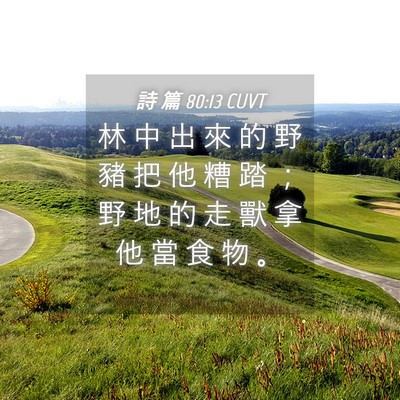 Picture 04 - 詩 篇 80:13 CUVT - 林 中 出 來 的 野 豬 把 他 糟 踏 ； - Bible Verse Picture