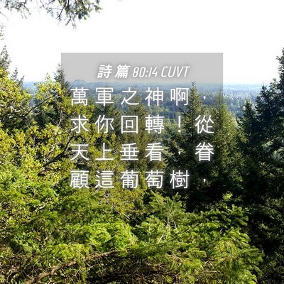 Picture 04 - 詩 篇 80:14 CUVT - 萬 軍 之 神 啊 ， 求 你 回 轉 ！ 從 - Bible Verse Picture