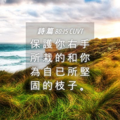 Picture 04 - 詩 篇 80:15 CUVT - 保 護 你 右 手 所 栽 的 和 你 為 自 - Bible Verse Picture