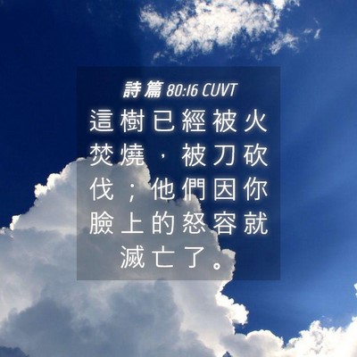 Picture 04 - 詩 篇 80:16 CUVT - 這 樹 已 經 被 火 焚 燒 ， 被 刀 砍 - Bible Verse Picture