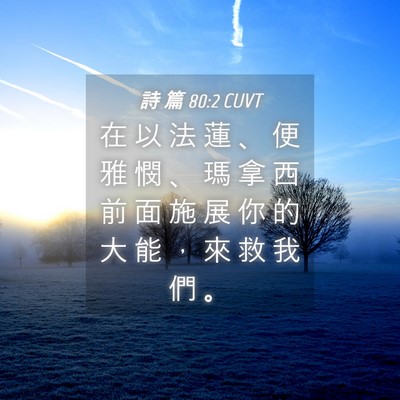 Picture 04 - 詩 篇 80:2 CUVT - 在 以 法 蓮 、 便 雅 憫 、 瑪 拿 西 - Bible Verse Picture