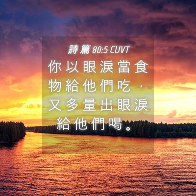 Picture 04 - 詩 篇 80:5 CUVT - 你 以 眼 淚 當 食 物 給 他 們 吃 ， - Bible Verse Picture