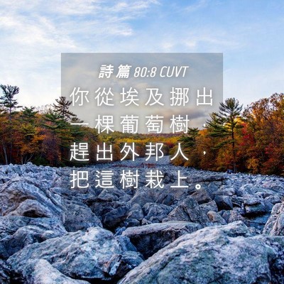 Picture 04 - 詩 篇 80:8 CUVT - 你 從 埃 及 挪 出 一 棵 葡 萄 樹 ， - Bible Verse Picture