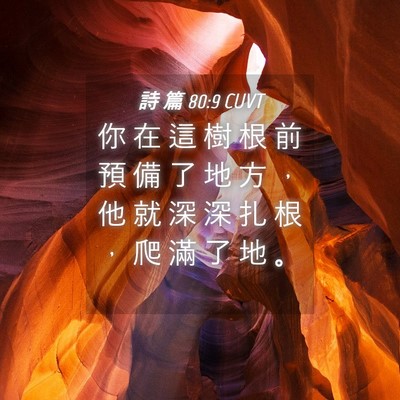 Picture 04 - 詩 篇 80:9 CUVT - 你 在 這 樹 根 前 預 備 了 地 方 ， - Bible Verse Picture