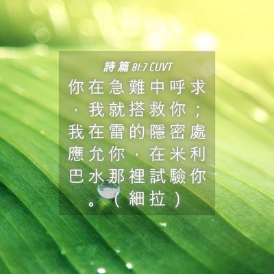 Picture 04 - 詩 篇 81:7 CUVT - 你 在 急 難 中 呼 求 ， 我 就 搭 救 - Bible Verse Picture