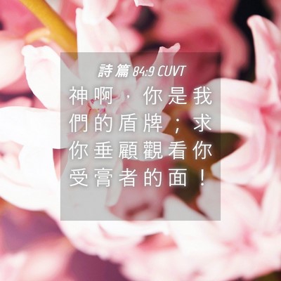 Picture 04 - 詩 篇 84:9 CUVT - 神 啊 ， 你 是 我 們 的 盾 牌 ； 求 - Bible Verse Picture