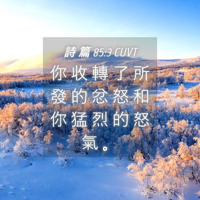 Picture 04 - 詩 篇 85:3 CUVT - 你 收 轉 了 所 發 的 忿 怒 和 你 猛 - Bible Verse Picture