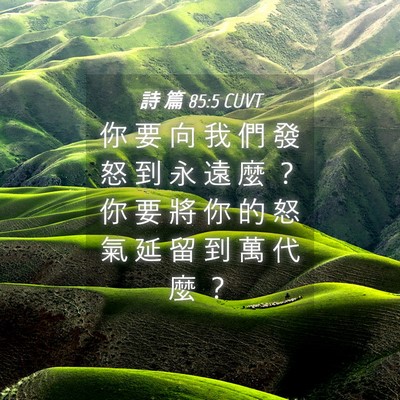 Picture 04 - 詩 篇 85:5 CUVT - 你 要 向 我 們 發 怒 到 永 遠 麼 ？ - Bible Verse Picture