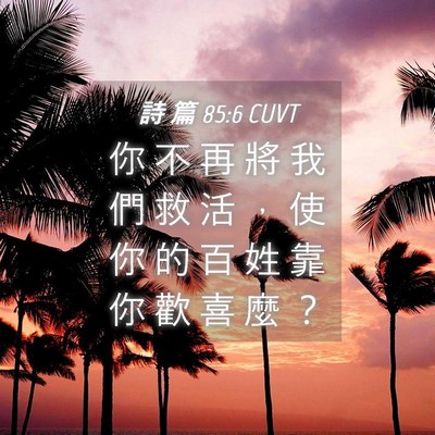 Picture 04 - 詩 篇 85:6 CUVT - 你 不 再 將 我 們 救 活 ， 使 你 的 - Bible Verse Picture