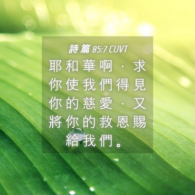 Picture 04 - 詩 篇 85:7 CUVT - 耶 和 華 啊 ， 求 你 使 我 們 得 見 - Bible Verse Picture