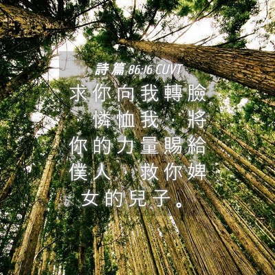 Picture 04 - 詩 篇 86:16 CUVT - 求 你 向 我 轉 臉 ， 憐 恤 我 ， 將 - Bible Verse Picture